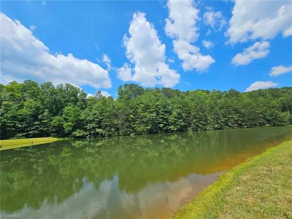 Lowgap, NC 27024,LOT 20 TBD Jonathan DR