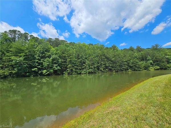 Lowgap, NC 27024,LOT 20 TBD Jonathan DR