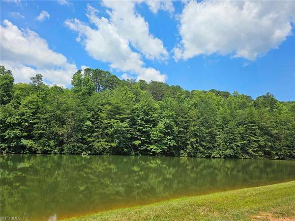 LOT 20 TBD Jonathan DR, Lowgap, NC 27024