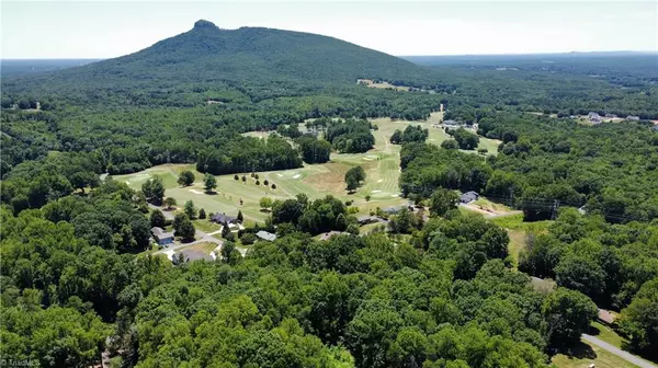 Pilot Mountain, NC 27041,TBD Stone Haven DR