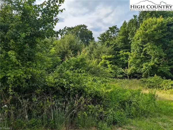 Sparta, NC 28675,Lot 13 Briarwood LN