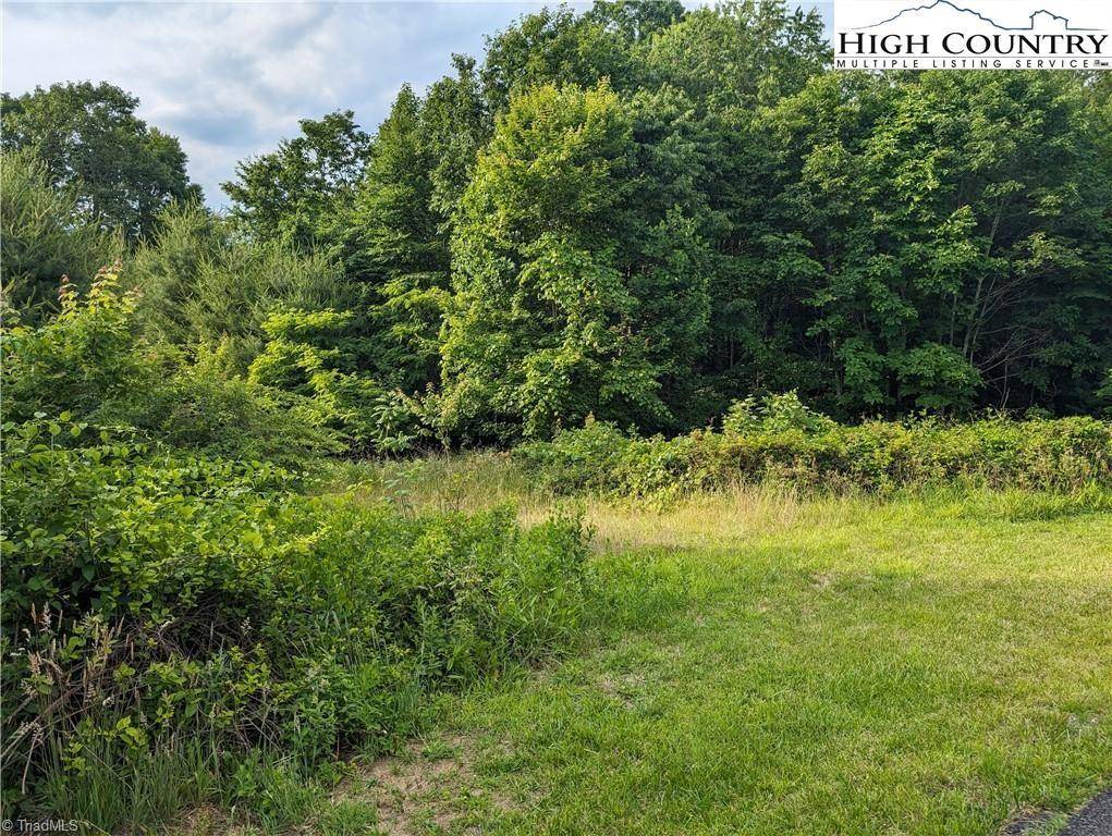 Sparta, NC 28675,Lot 13 Briarwood LN