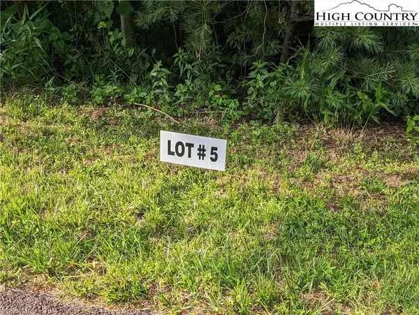 Lot 5 Briarwood LN, Sparta, NC 28675