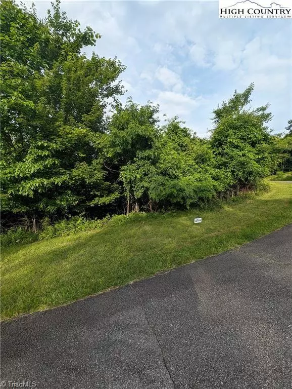 Sparta, NC 28675,Lot 4 Briarwood LN