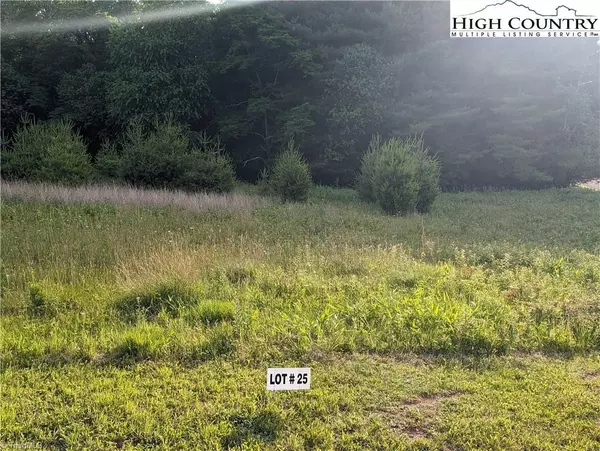 Sparta, NC 28675,Lot 25 Dockery LN