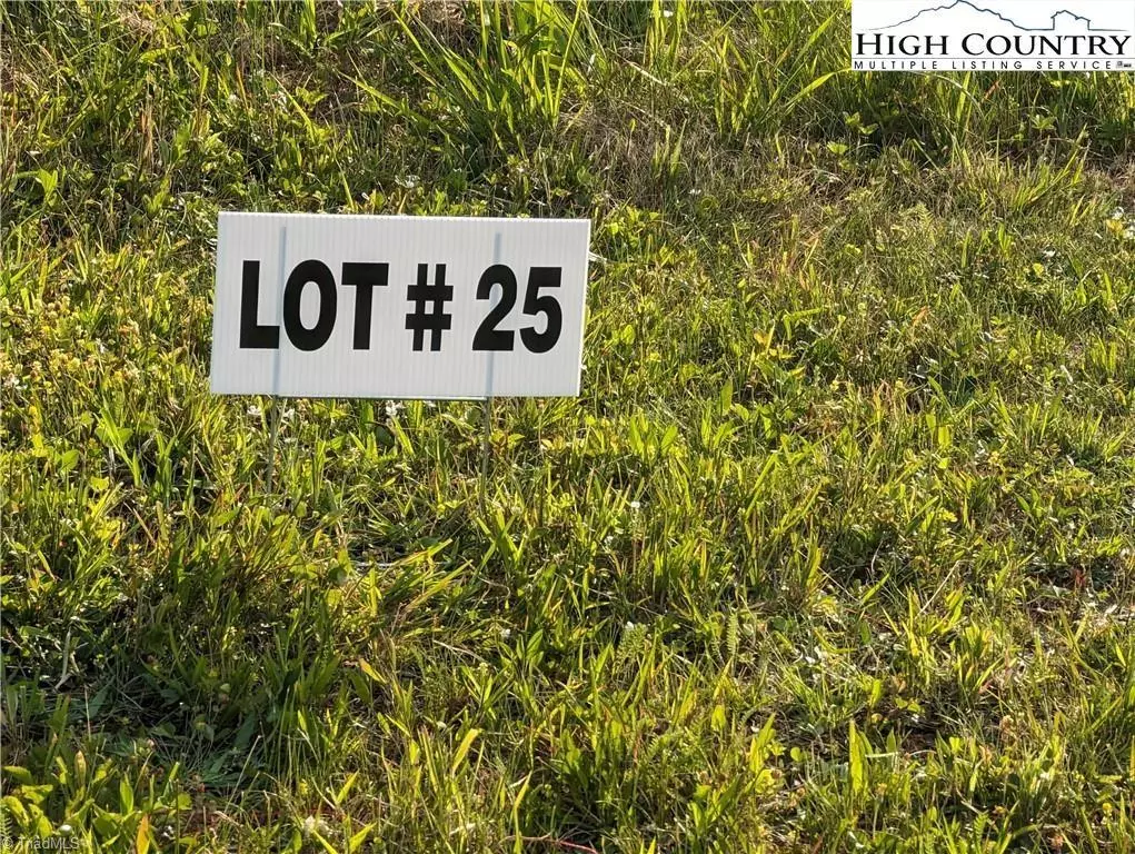 Sparta, NC 28675,Lot 25 Dockery LN