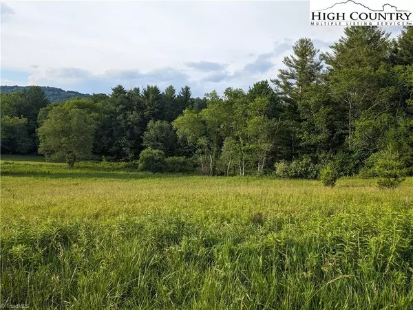 Sparta, NC 28675,Lot 18 Fraser RD