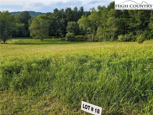 Sparta, NC 28675,Lot 18 Fraser RD