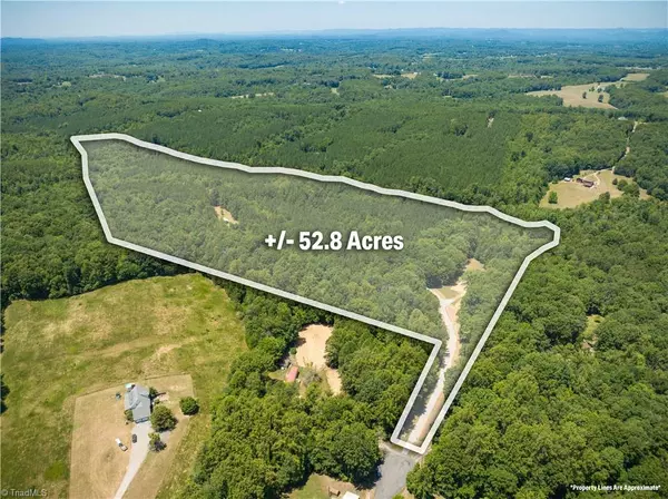 Sandy Ridge, NC 27046,1230 Delta Acres RD