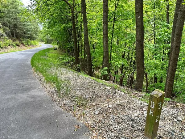 Purlear, NC 28665,LOT 112 Buck Mountain RD