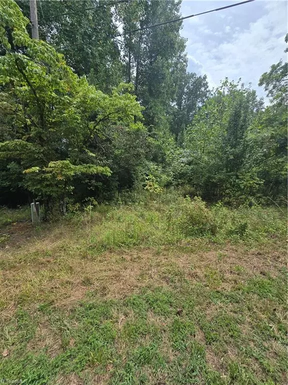 Wilkesboro, NC 28697,TBD Azalea LN #Lot 18