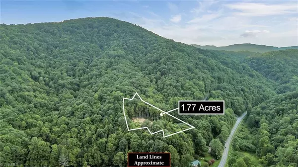 Millers Creek, NC 28651,TBD Vacation WAY