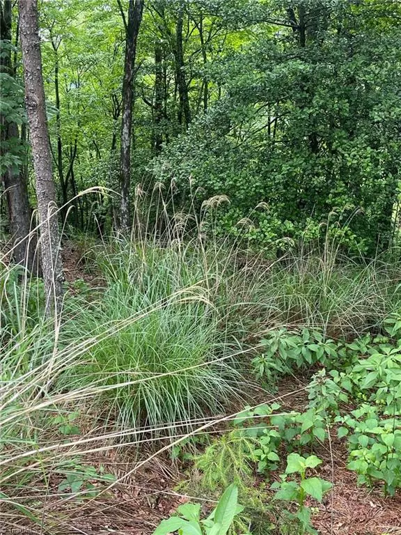 Traphill, NC 28685,Lot 61 Grandview CIR