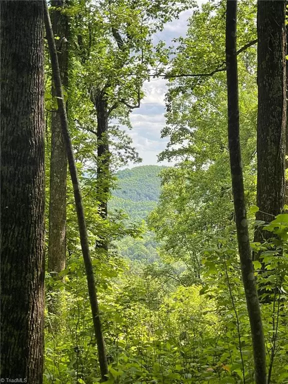 Moravian Falls, NC 28654,Lot 8 Dogwood RD