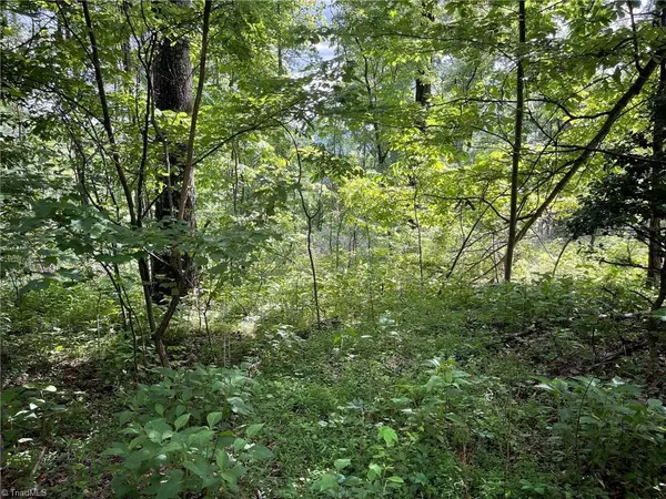 Moravian Falls, NC 28654,Lot 8 Dogwood RD