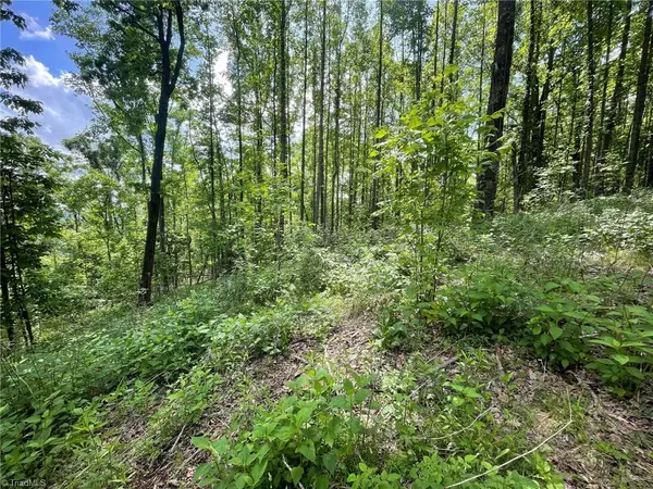 Moravian Falls, NC 28654,Lot 11 Dogwood RD