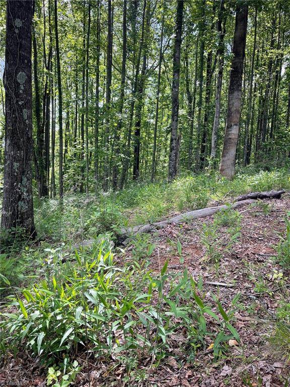 Lot 11 Dogwood RD, Moravian Falls, NC 28654