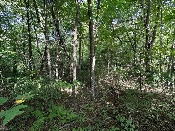 Purlear, NC 28665,Lot 15C Cielo Ridge WAY