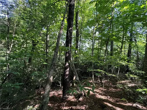 Purlear, NC 28665,Lot 17C Cielo Ridge WAY