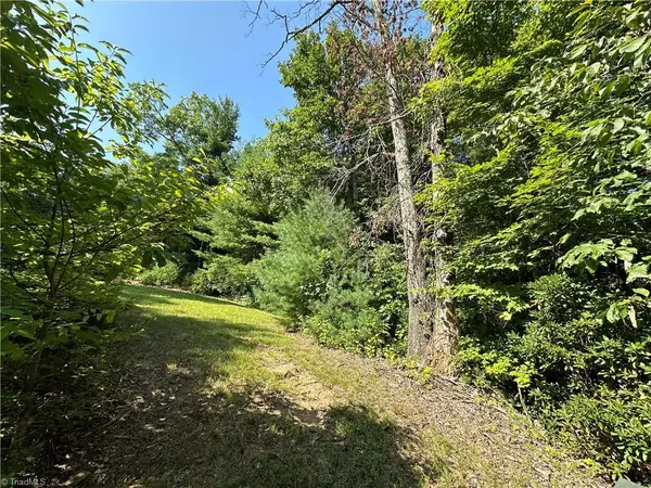 Purlear, NC 28665,Lot 17C Cielo Ridge WAY