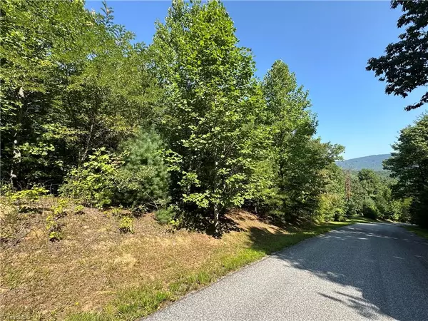 Purlear, NC 28665,Lot 17C Cielo Ridge WAY