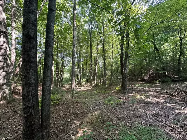 Purlear, NC 28665,Lot 18E Cielo Ridge WAY