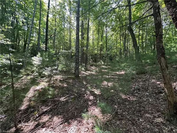 Purlear, NC 28665,Lot 18E Cielo Ridge WAY
