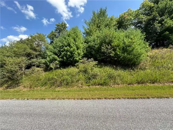 Purlear, NC 28665,Lot 27E Cascade RUN