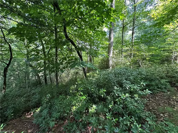 Purlear, NC 28665,Lot 27E Cascade RUN