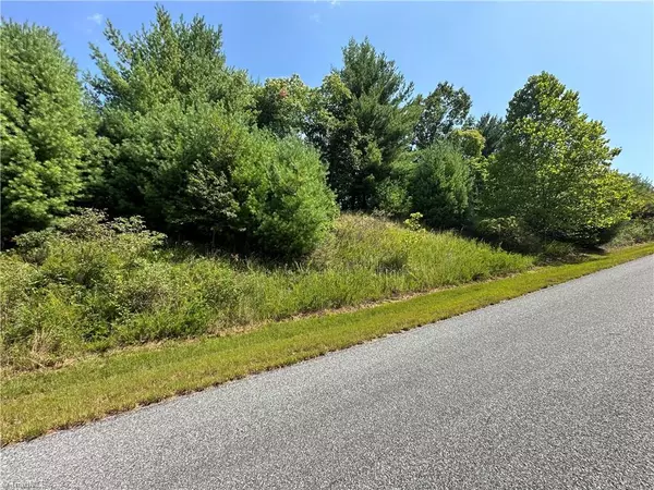 Purlear, NC 28665,Lot 27E Cascade RUN