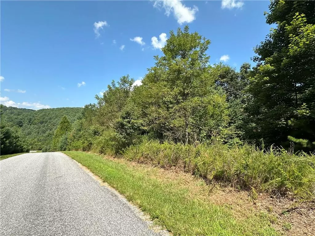 Purlear, NC 28665,Lot 27E Cascade RUN