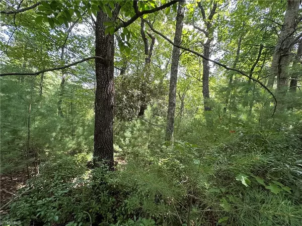 Purlear, NC 28665,Lot 31E Cascade RUN