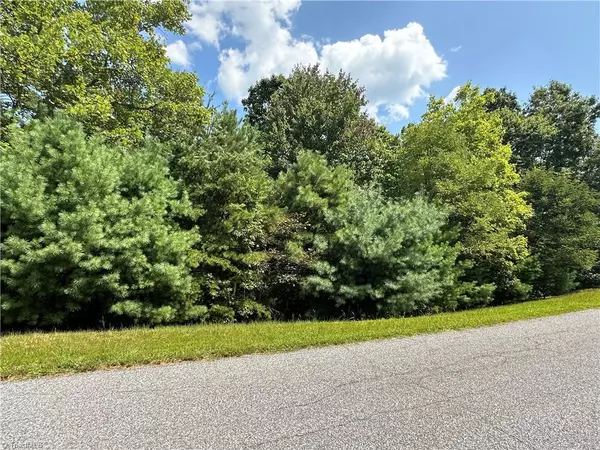 Purlear, NC 28665,Lot 31E Cascade RUN