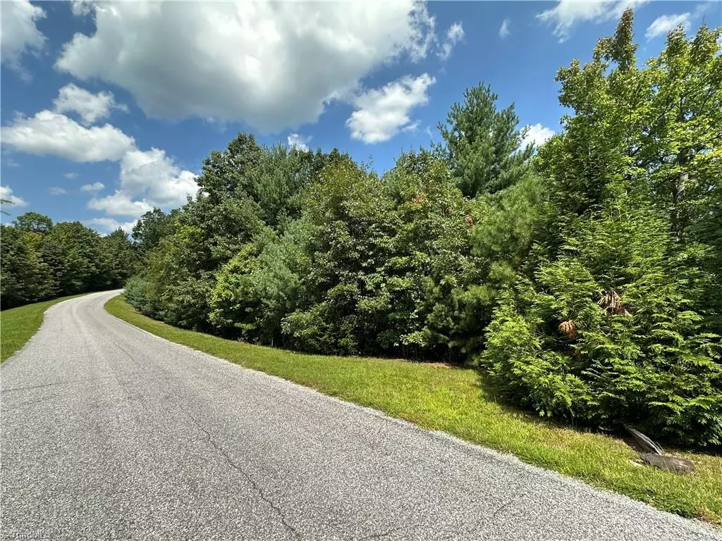 Purlear, NC 28665,Lot 31E Cascade RUN