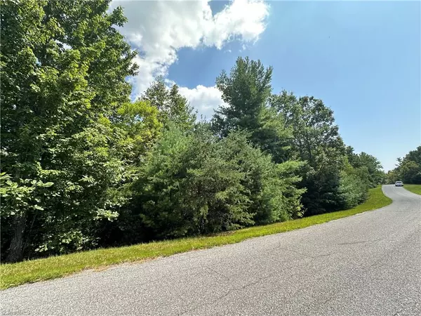 Purlear, NC 28665,Lot 31E Cascade RUN