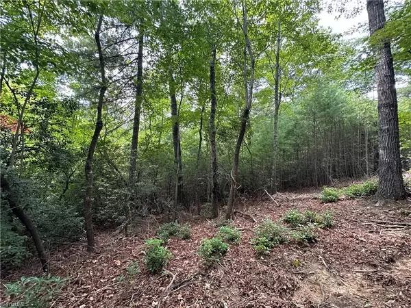 Purlear, NC 28665,Lot 48E Cascade RUN