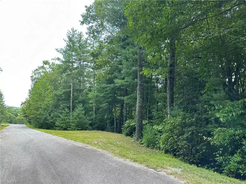 Lot 48E Cascade RUN, Purlear, NC 28665