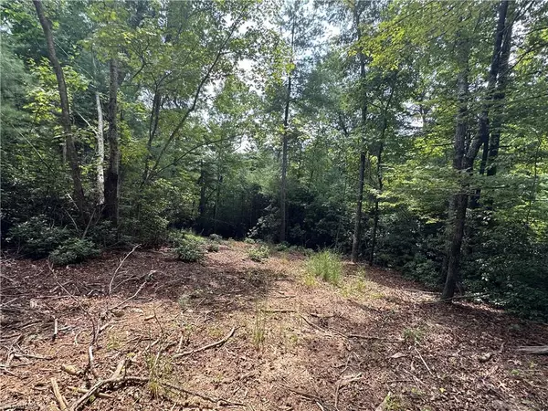 Purlear, NC 28665,Lot 48E Cascade RUN