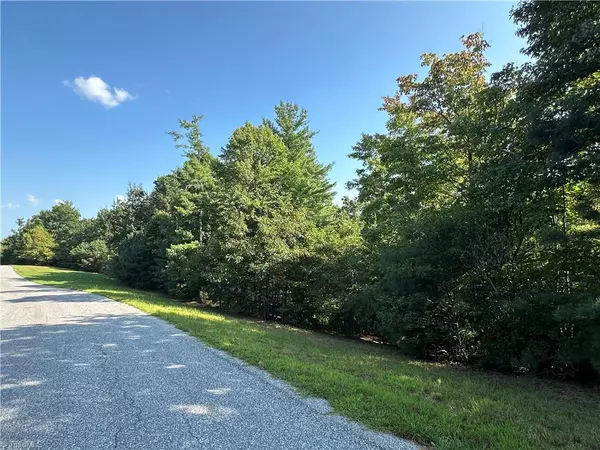 Purlear, NC 28665,Lot 34E Cascade RUN