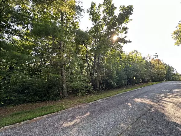 Purlear, NC 28665,Lot 36E Cascade RUN