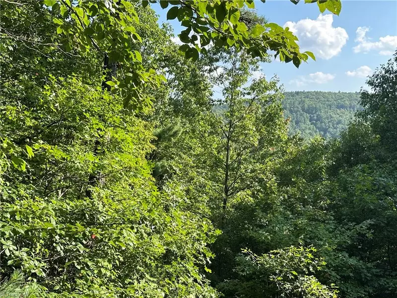 Lot 36E Cascade RUN, Purlear, NC 28665