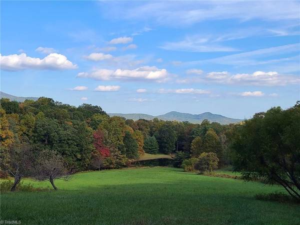 LOT 2 Baldwin DR, Lowgap, NC 27024