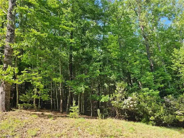 Lowgap, NC 27024,LOT 2 Baldwin DR