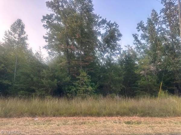 Lot 1 Frank Joyce RD, Sandy Ridge, NC 27046