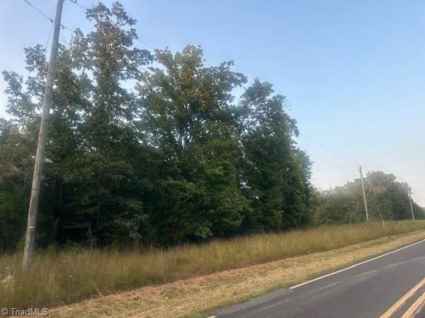 Sandy Ridge, NC 27046,Lot 1 Frank Joyce RD