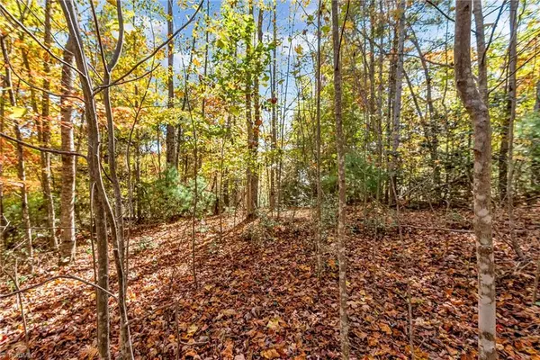 Millers Creek, NC 28651,TBD Friendly Grove Church RD