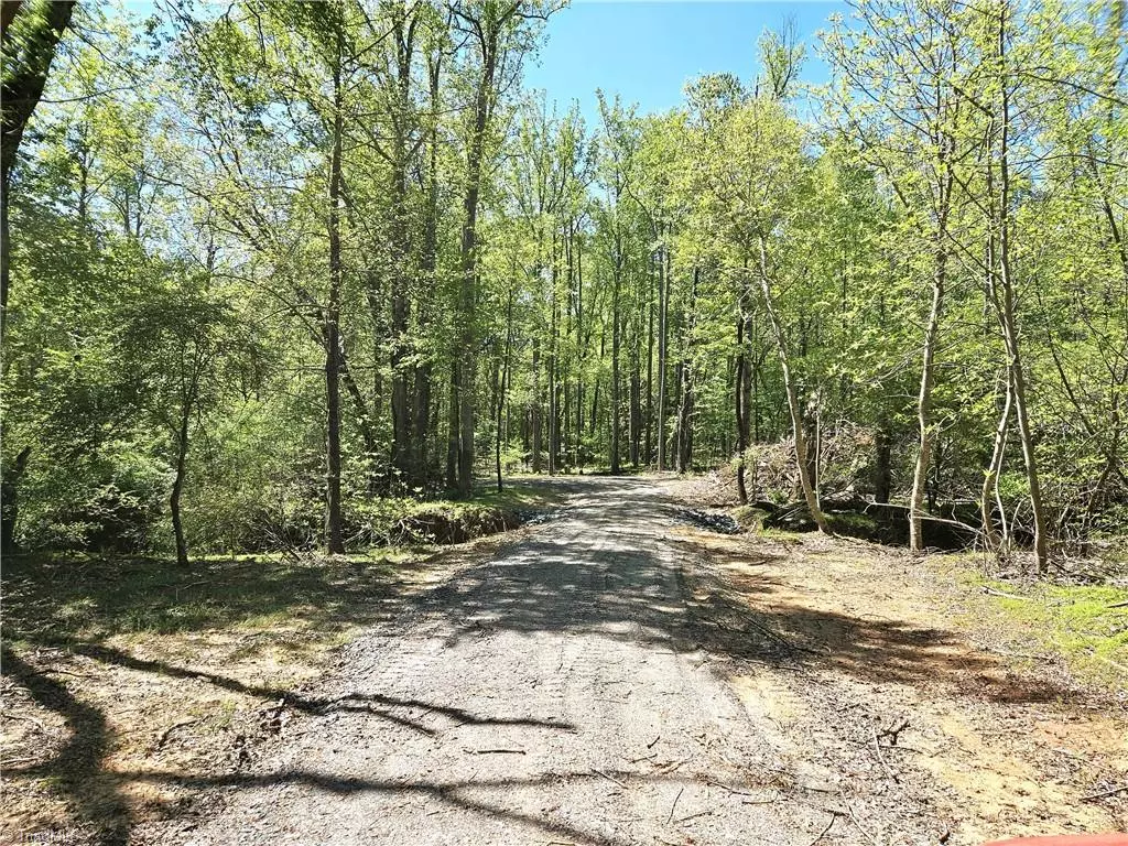 Pilot Mountain, NC 27041,xx 16.35 Acres Black Point LN