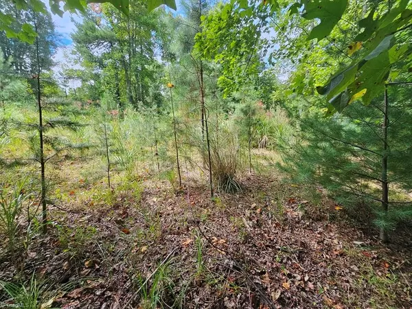 Millers Creek, NC 28651,TBD Mertie RD