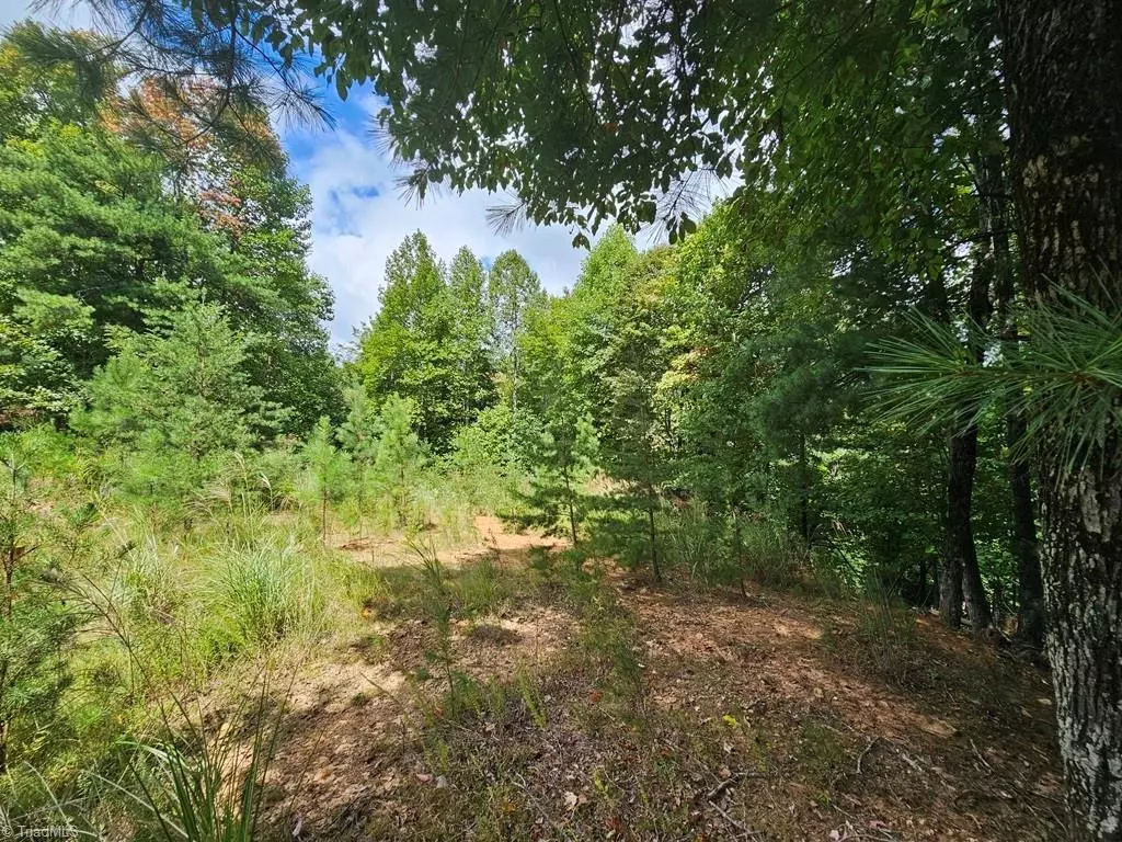 Millers Creek, NC 28651,TBD Mertie RD