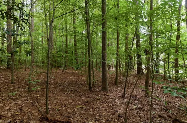 Lexington, NC 27292,Lot 13 Beckner RD